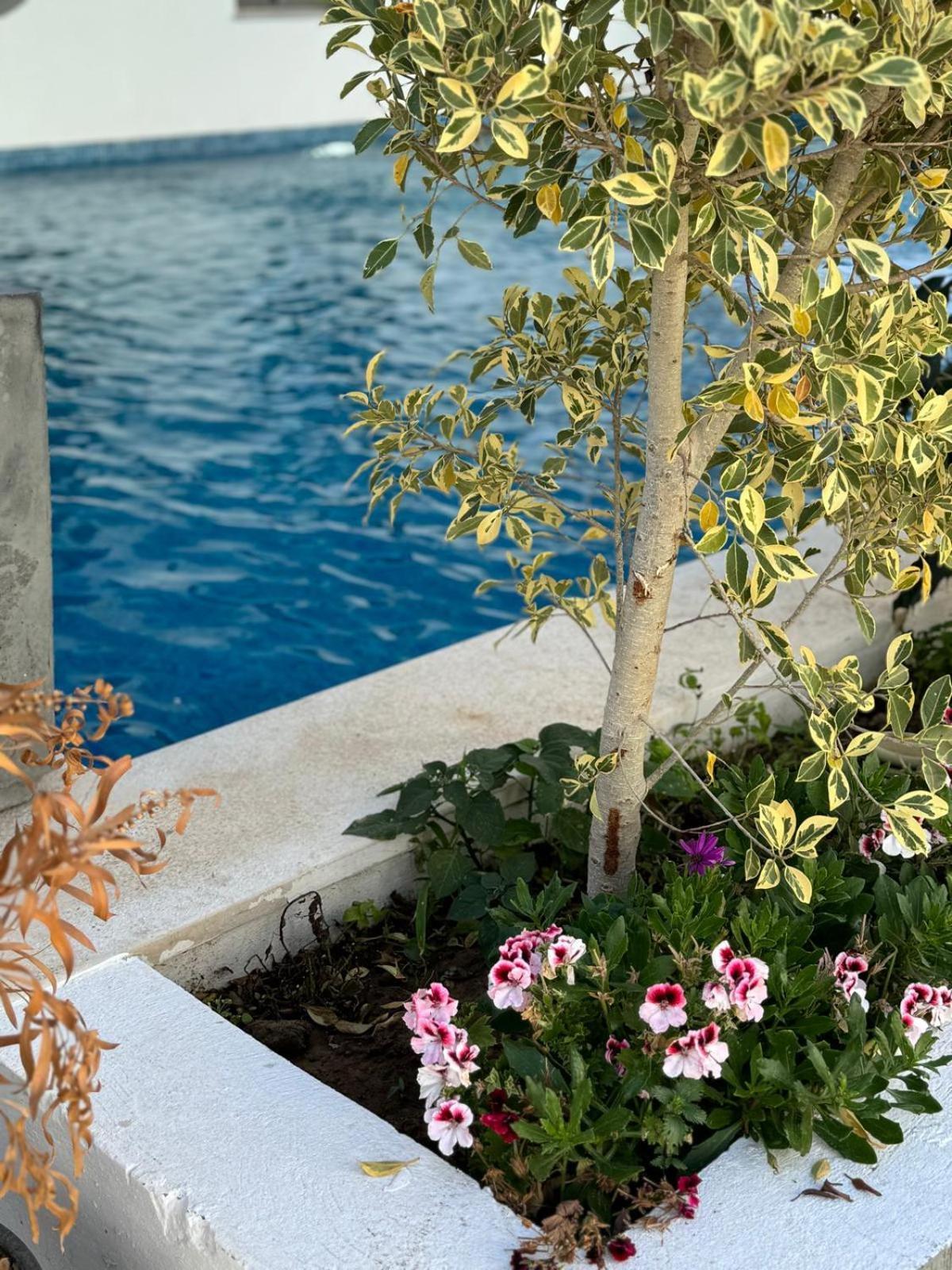Apartmán La Cascade Hammam Al Ghazzaz Kelibia Exteriér fotografie